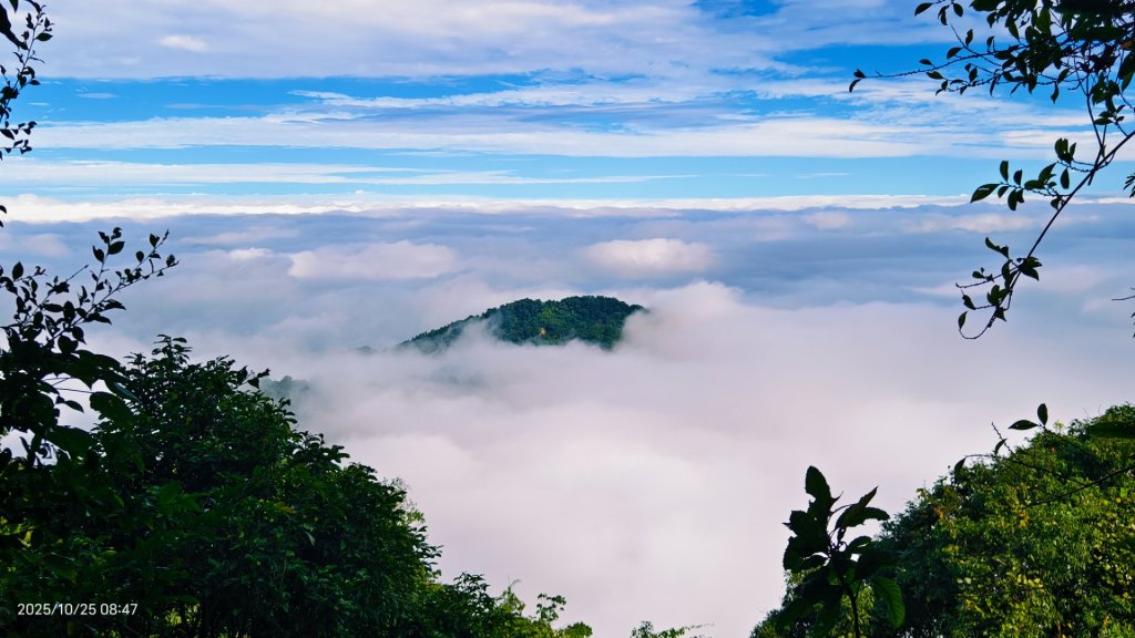 #馬那邦山 #琉璃光 #日出 #雲海 #山羌 #楓葉 10/25 & 11/1_2924620