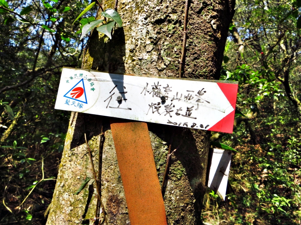 小觀音山-大屯溪古道縱走_33405