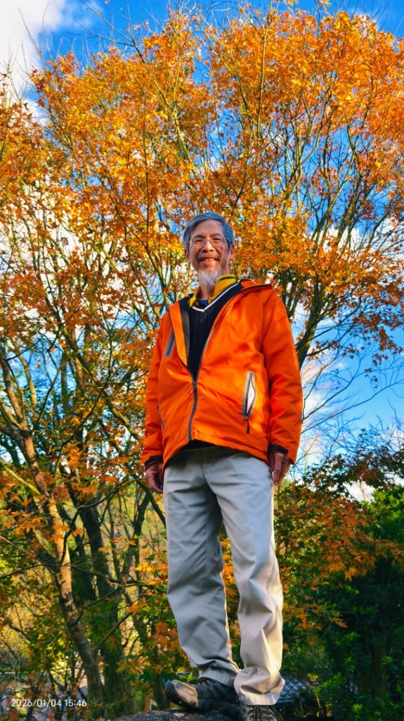 #花卉試驗中心 #永公路500巷 #平菁街42巷 #原住民公園 #士林官邸 1/4_2976571