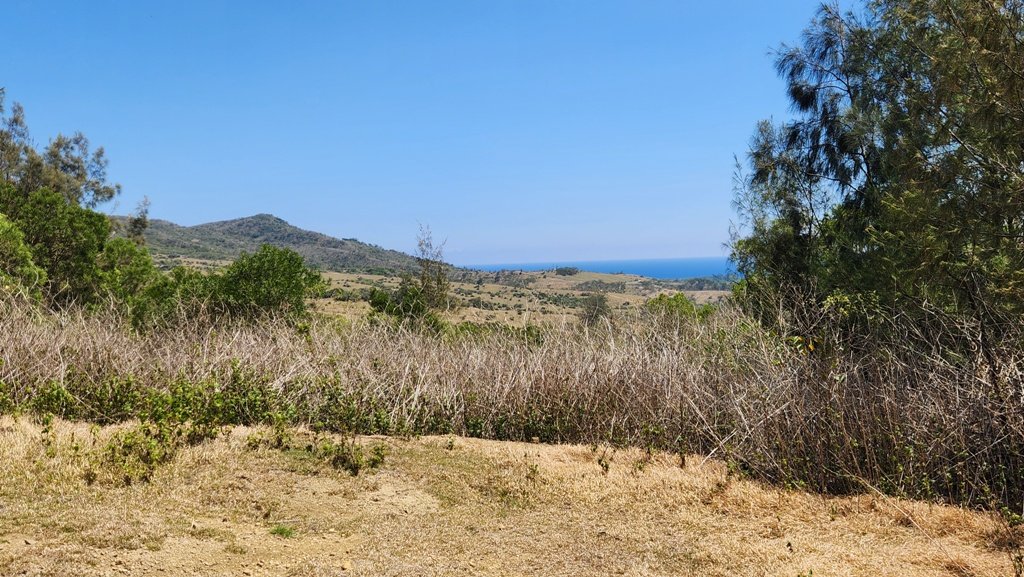 【恆春縱走】斯卡羅縱走_2769828