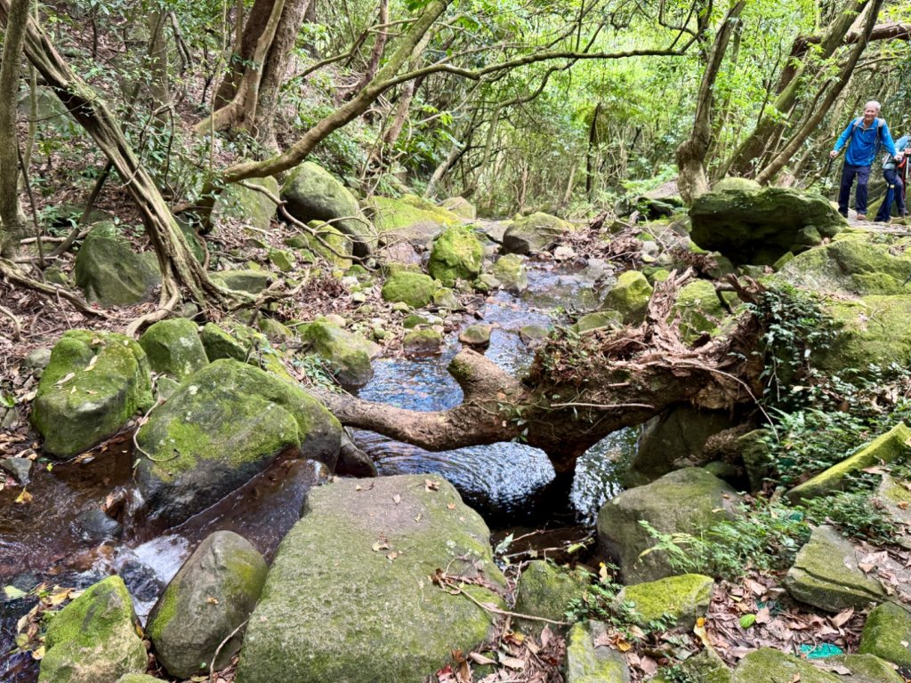 上磺溪橋走魚路古道/金包里城門/擎天崗/冷水坑_2872122