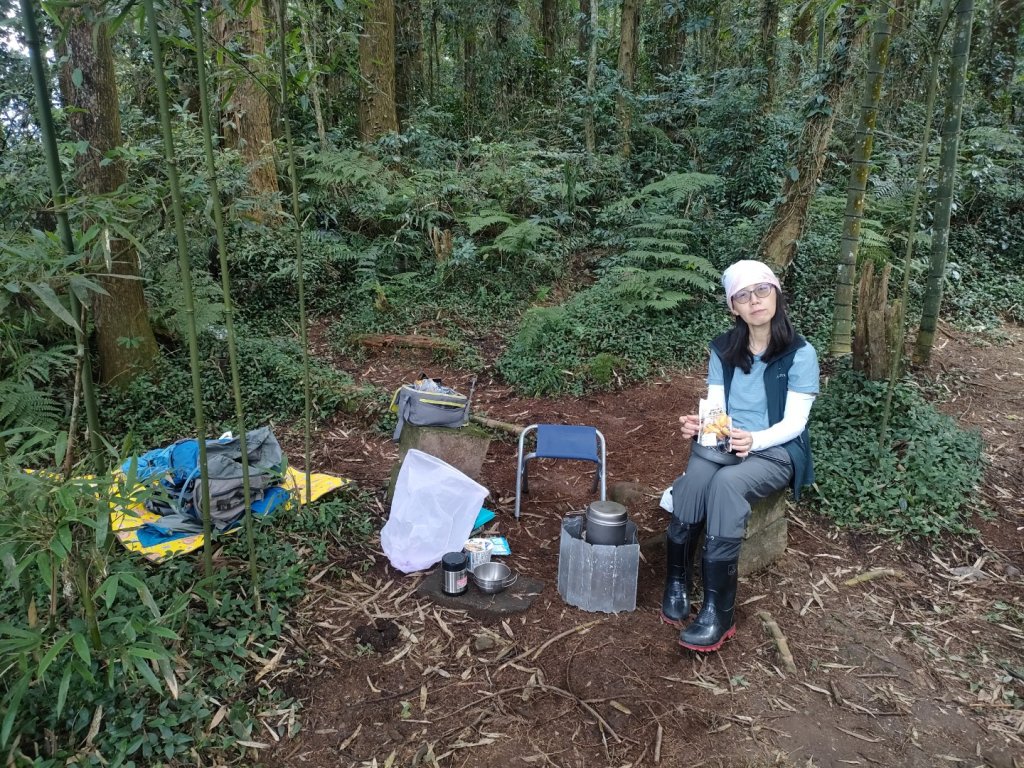 1101127 溪頭九連峰_1528506