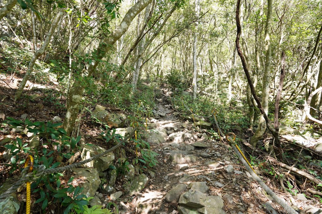 台中 和平 波津加山_2679693