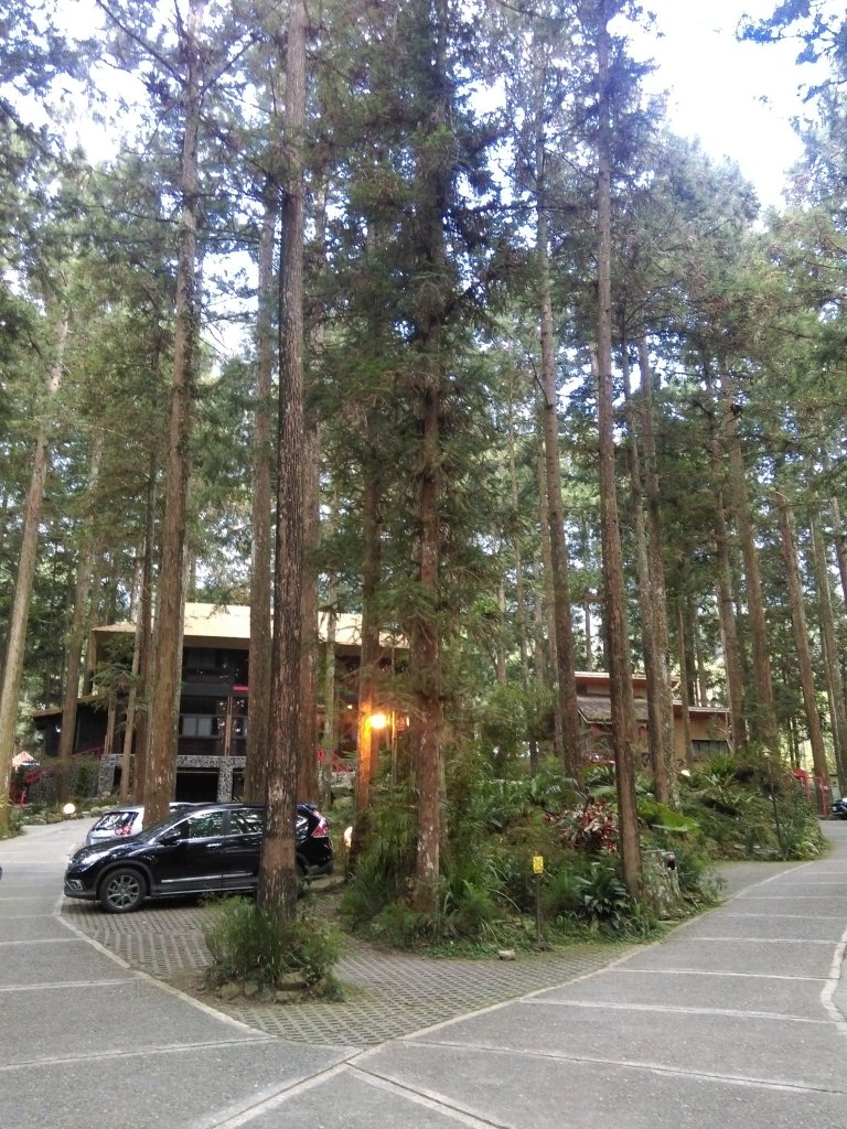 妖怪部落與童話仙境〜妖怪村_468157