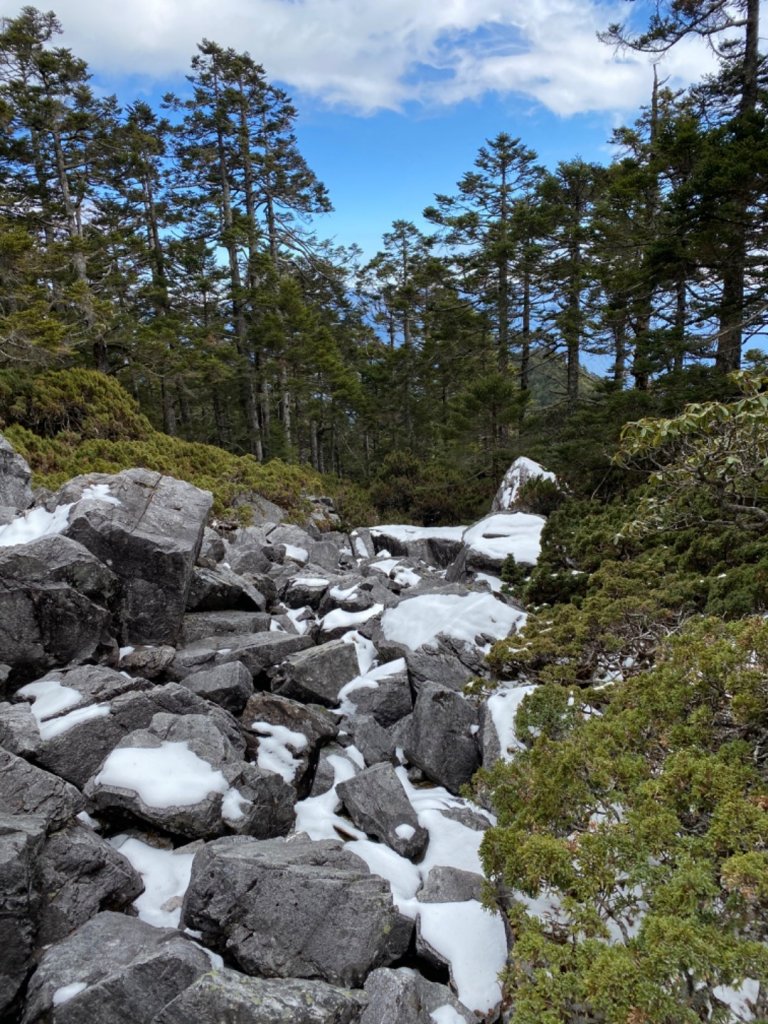 一日單攻白姑大山_821488