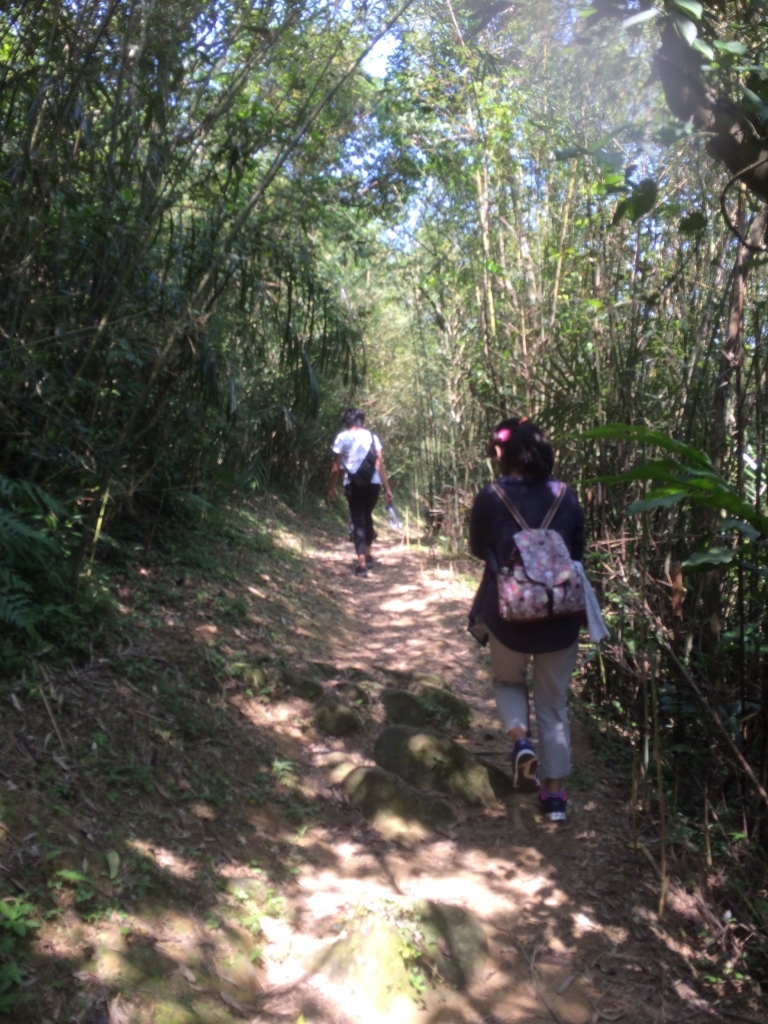 家庭小確幸：草嶺古道健行記_54183