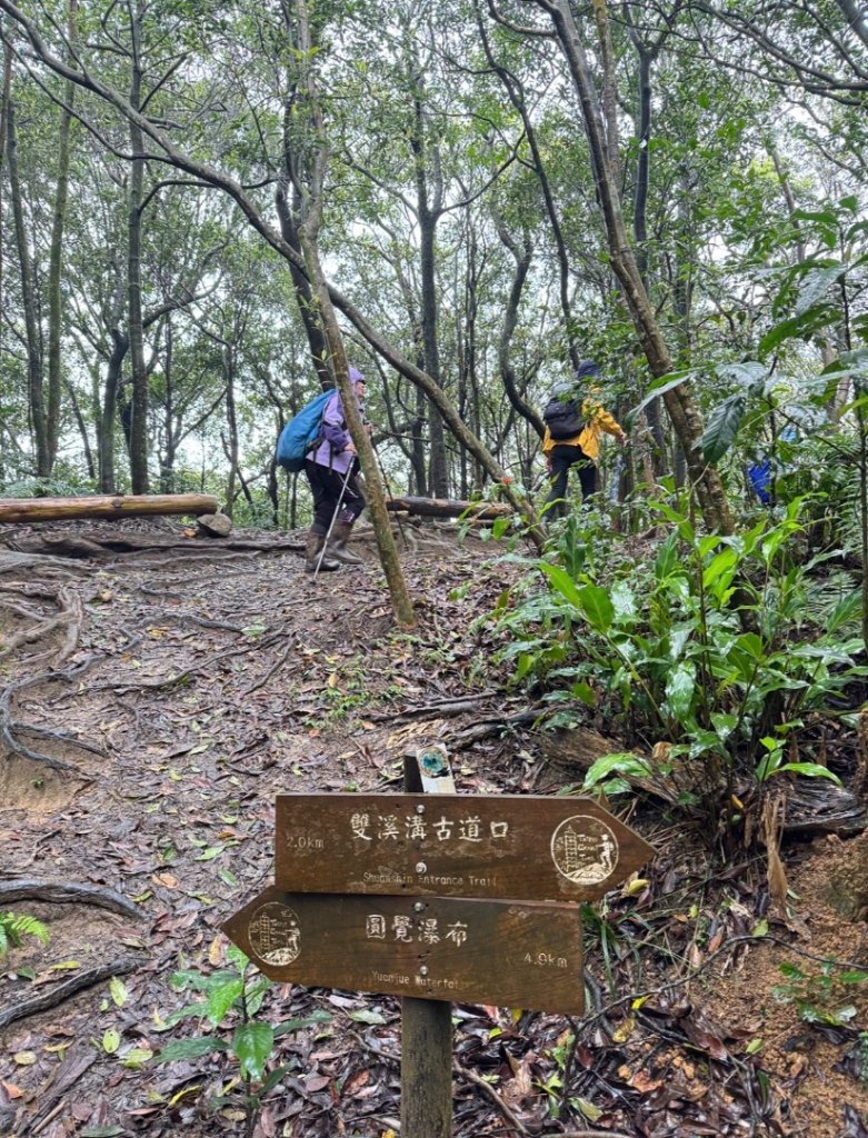 台北縱走第四段訪雙溪山 梅花山與西峰南峰西南峰 碧山_3012836