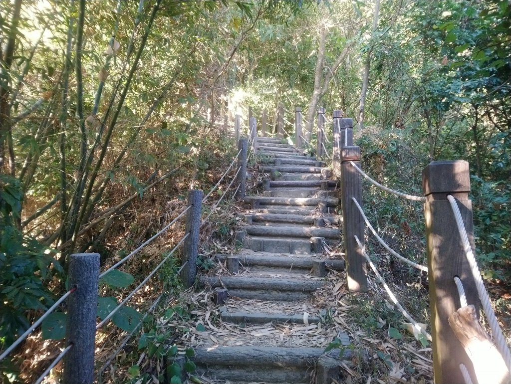 新田五星級登山步道-聚興山 小百岳040_755660