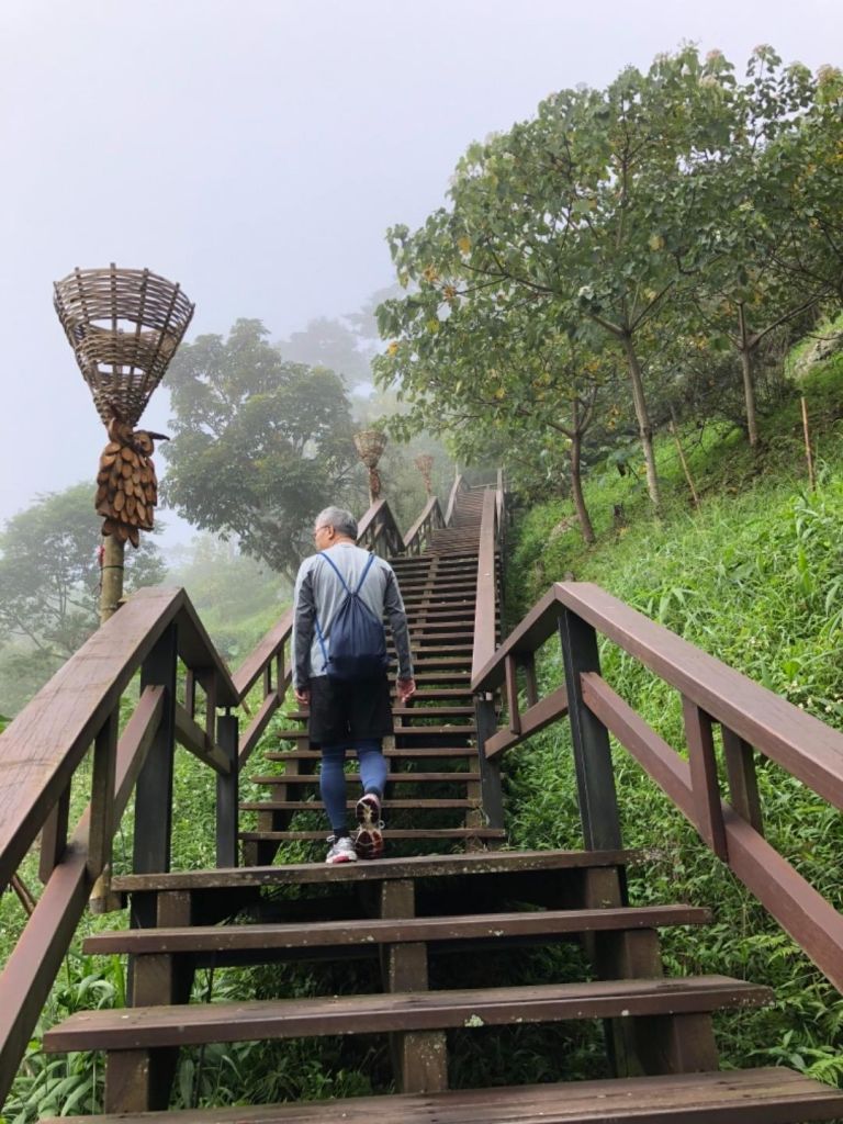 龍美景觀步道順訪山羊古道未竟之行_412216