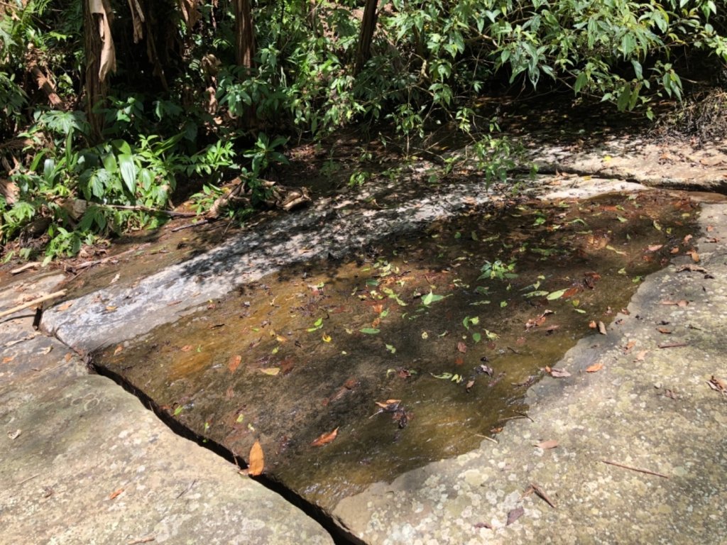 達娜伊谷走里美避難歩道、巨石坂步道_690742