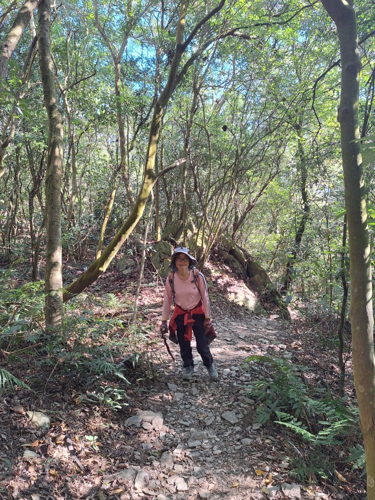 德文山(觀望山)20260105_2978644