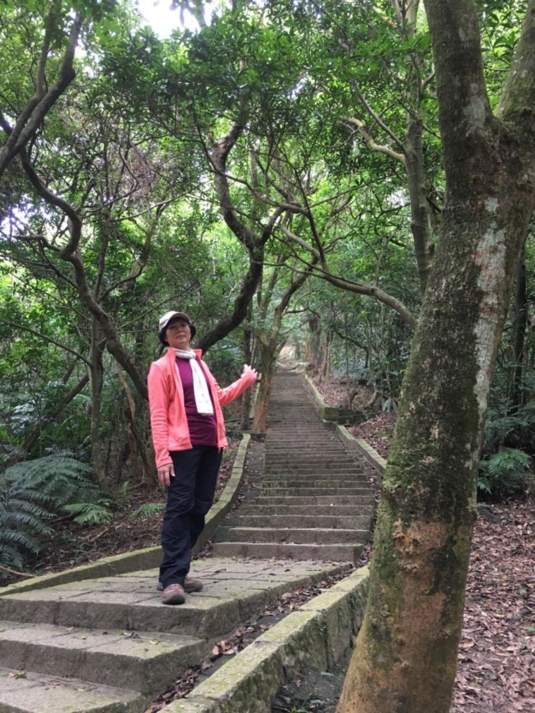 大崙尾山初訪_467317