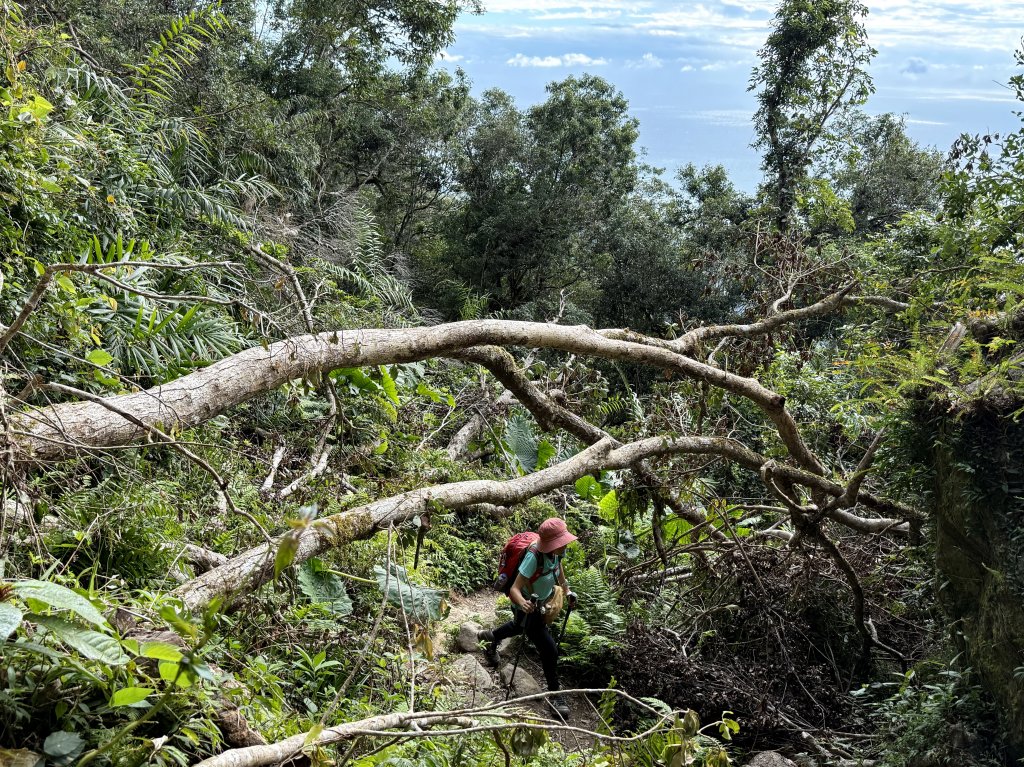 都蘭山 2024/12/07_2668197