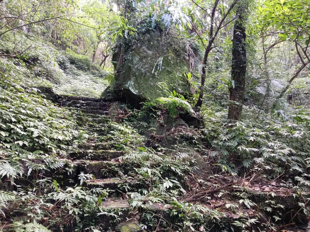 汐止區茄苳越嶺古道+上鹿窟崙山+九層坪山+四分尾山+大尖山8字走_2981551