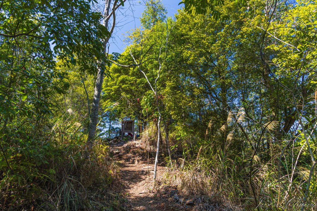 谷關七雄_唐麻丹山_3015620