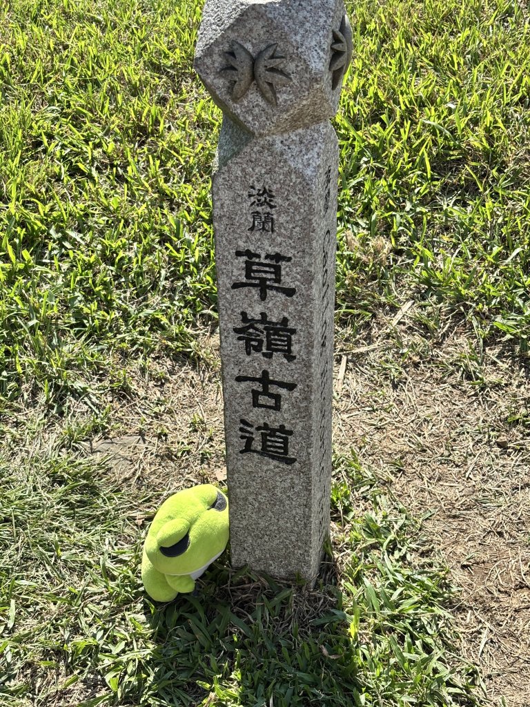 2025 芒草季 草嶺古道封面圖