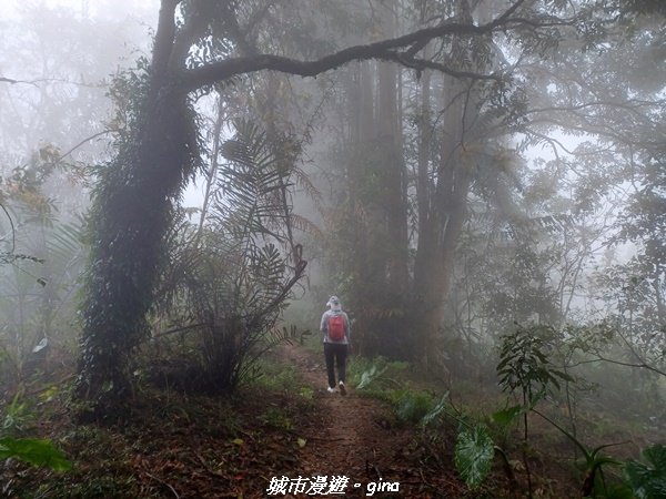 【台南。 南化】迷霧山徑。 小百岳集起來。 編號70小百岳~刣牛湖山登山步道封面圖