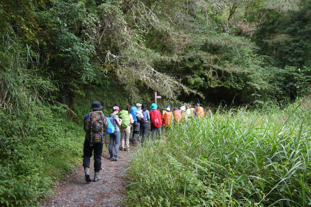 0901-02奇萊南_398019