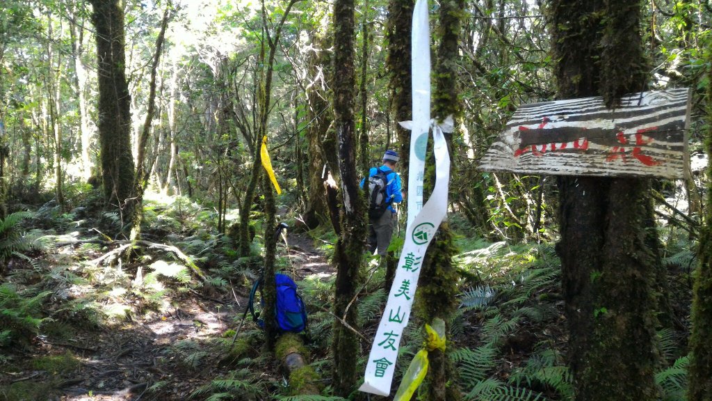 魔幻森林_塔曼山20171009_1962675