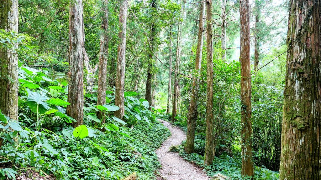 雲森瀑布_2872194