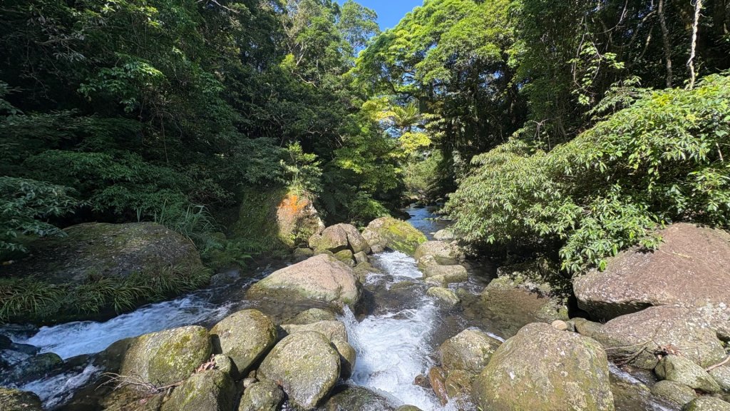 戲水（鴛鴦_2786661