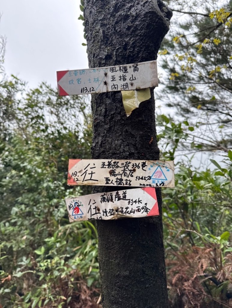台北縱走第四段訪雙溪山 梅花山與西峰南峰西南峰 碧山_3012827