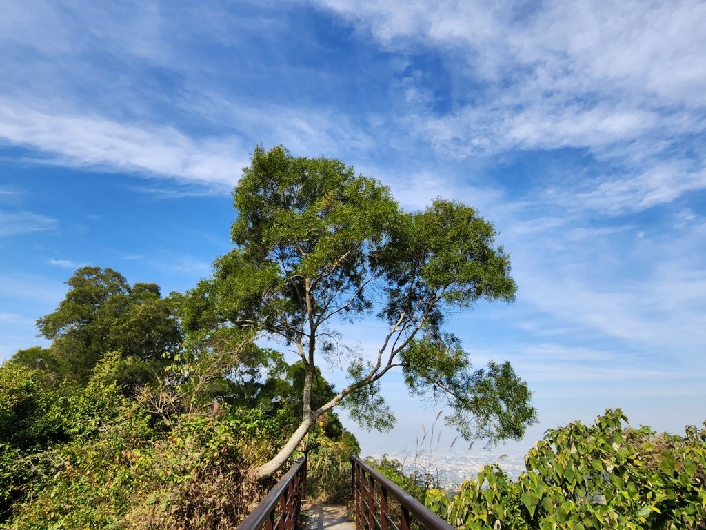 【彰化清水巖】十八彎古道連走擎天崗(中央嶺步道)_2038042