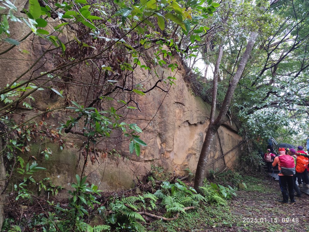 2-1 捷運新店站→碧潭吊橋→和美山登山步道(綠線親山步道)→碧潭吊橋_2690739