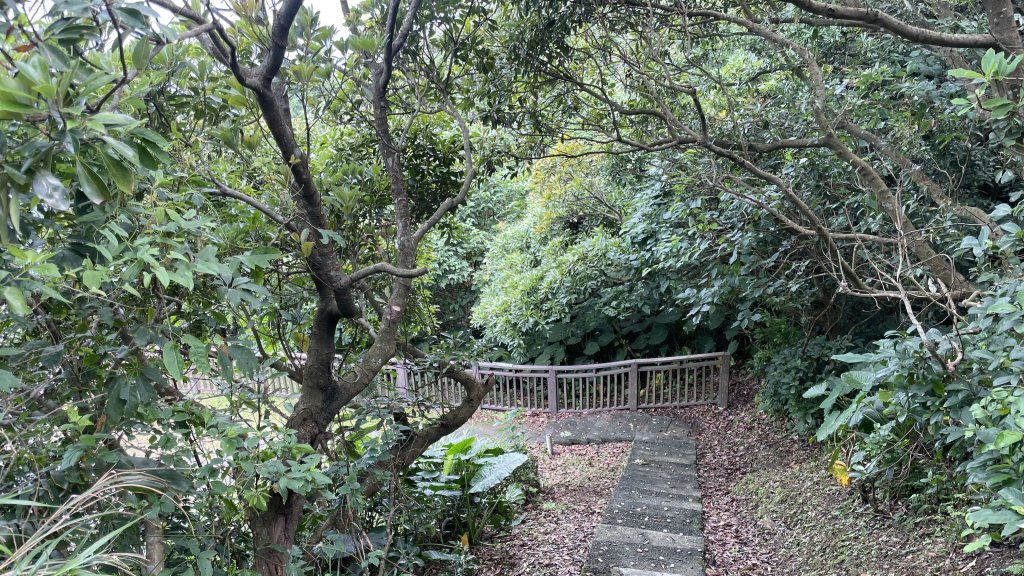 基隆的十八傘人家族_2782880