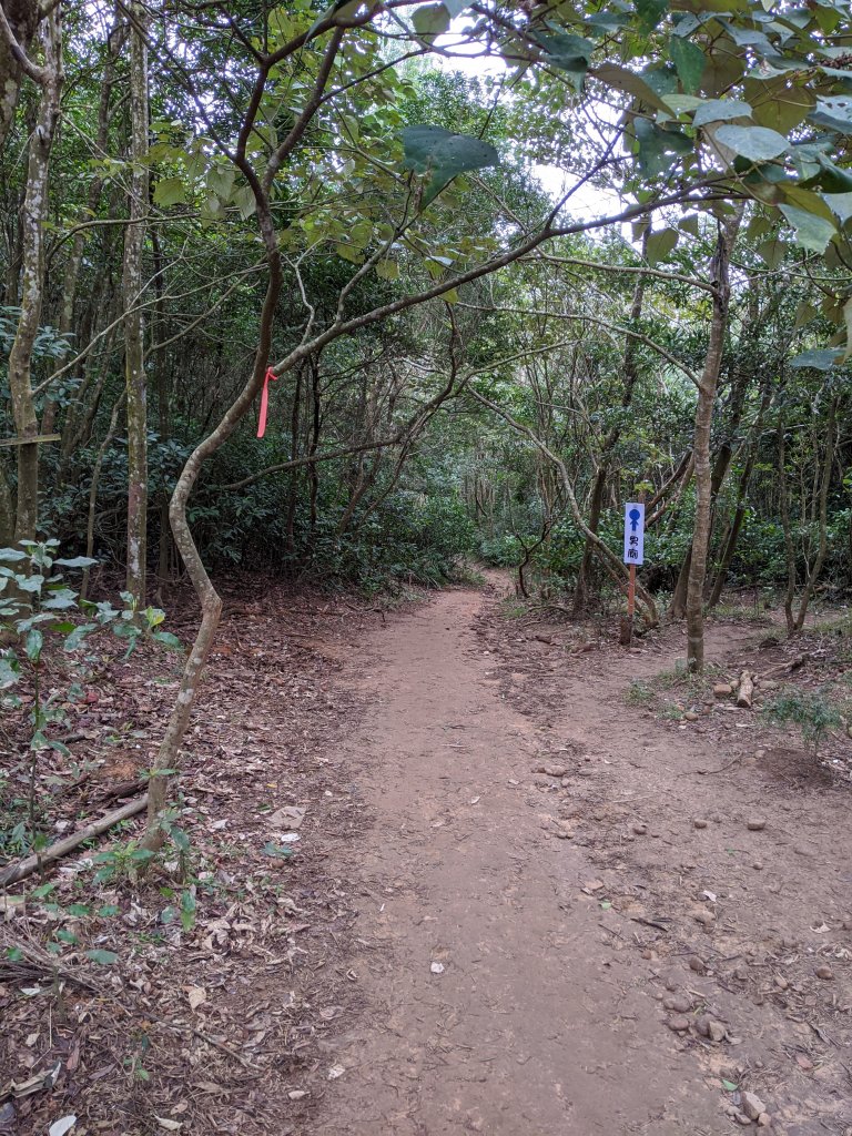 【苗栗-小百岳】全台步道票選冠軍 火炎山_819941