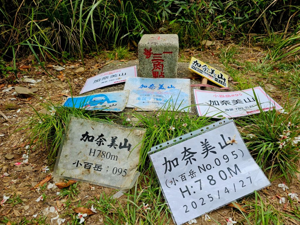 加奈美山-小百岳#95-台東縣大武鄉封面圖