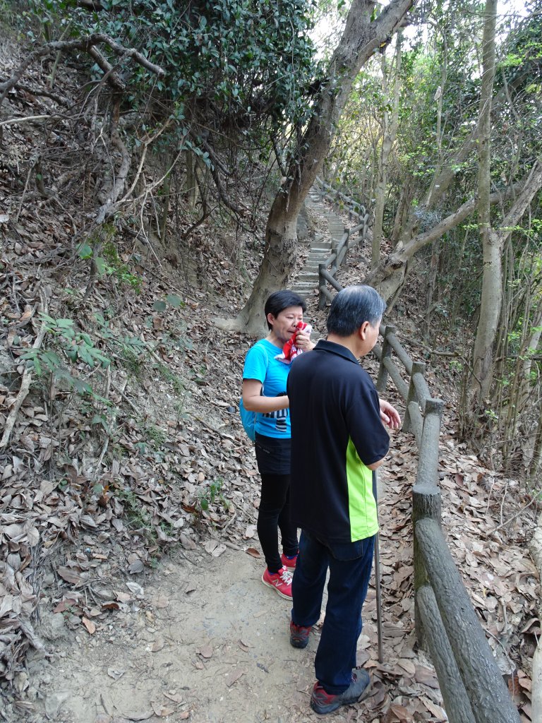 台灣小百岳第75座高雄大社-觀音山三角點_565759