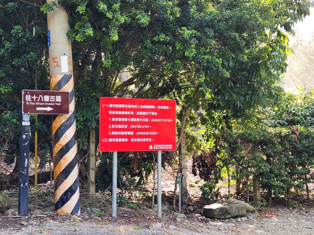 【彰化清水巖】十八彎古道連走擎天崗(中央嶺步道)_2038010