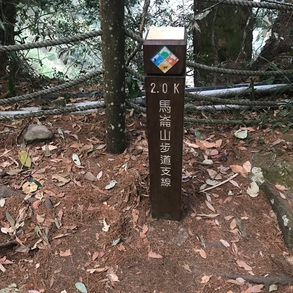 谷關七雄 馬崙山（老二）2023.03.04_2051340