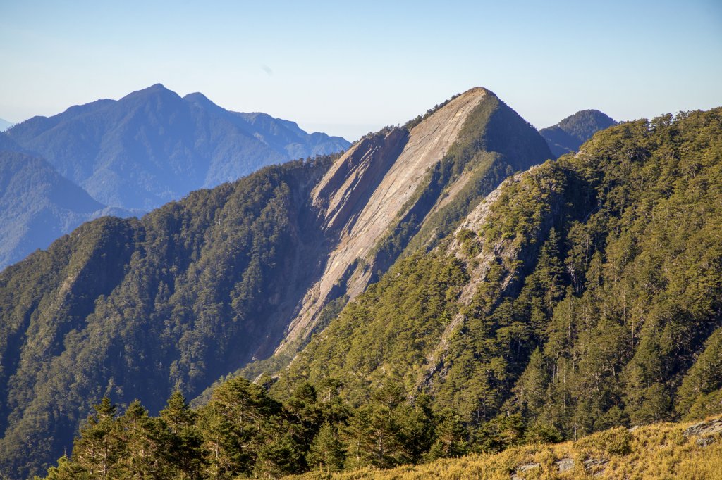 大小劍-油婆蘭全紀錄_2674187