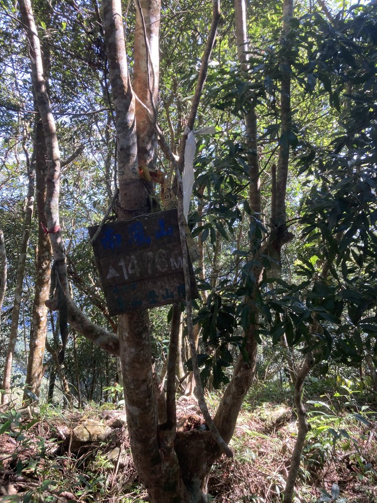 20231118-19六龜警備道_藤枝段_2353003