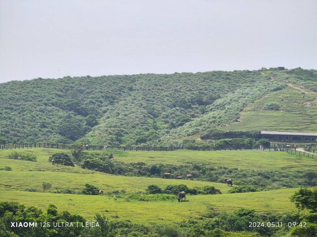 陽明山東西大縱走_2610088