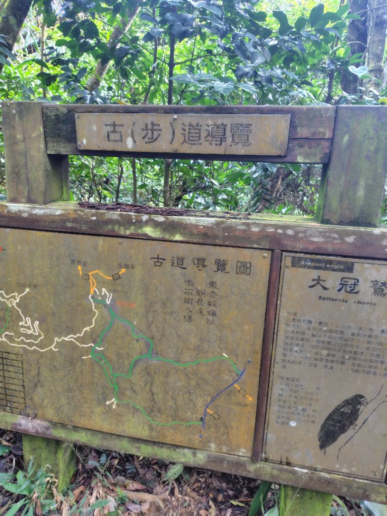 鳳鳴古道 鳳鳴山 南隘勇（南長城）古道 三湖山 八達嶺（龍骨）古道 綠色古道 延平古道_2975226