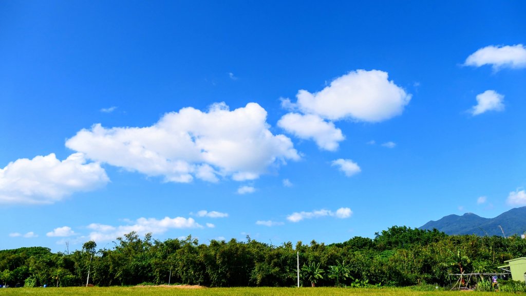 五分港溪_2937358