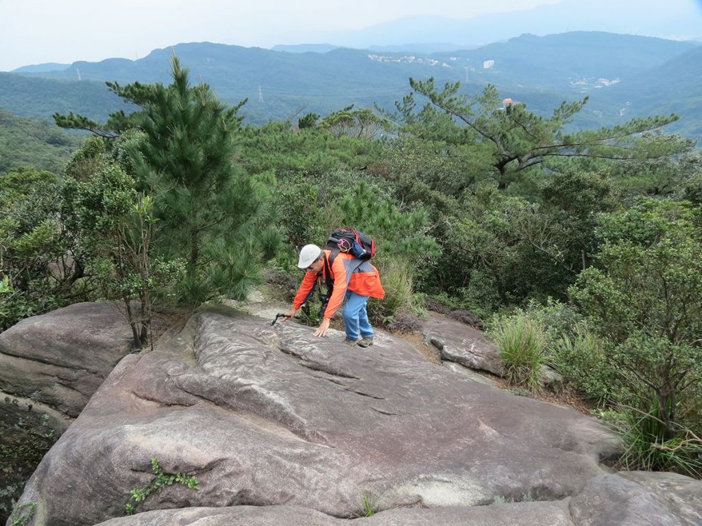 汐止金明山.柯子林山.如意湖O型_291419