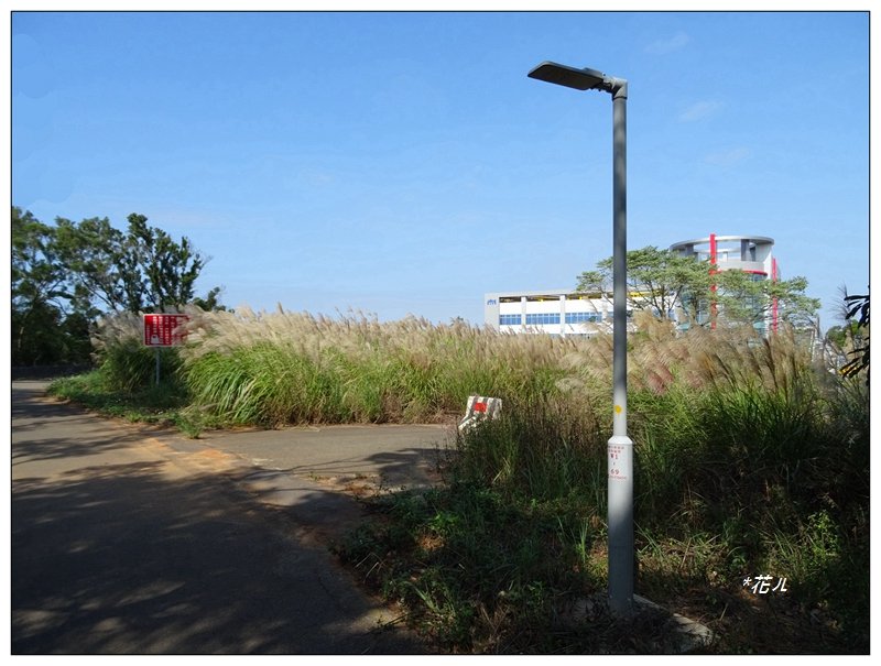 茄苳崑尾山(九華山)_1536741