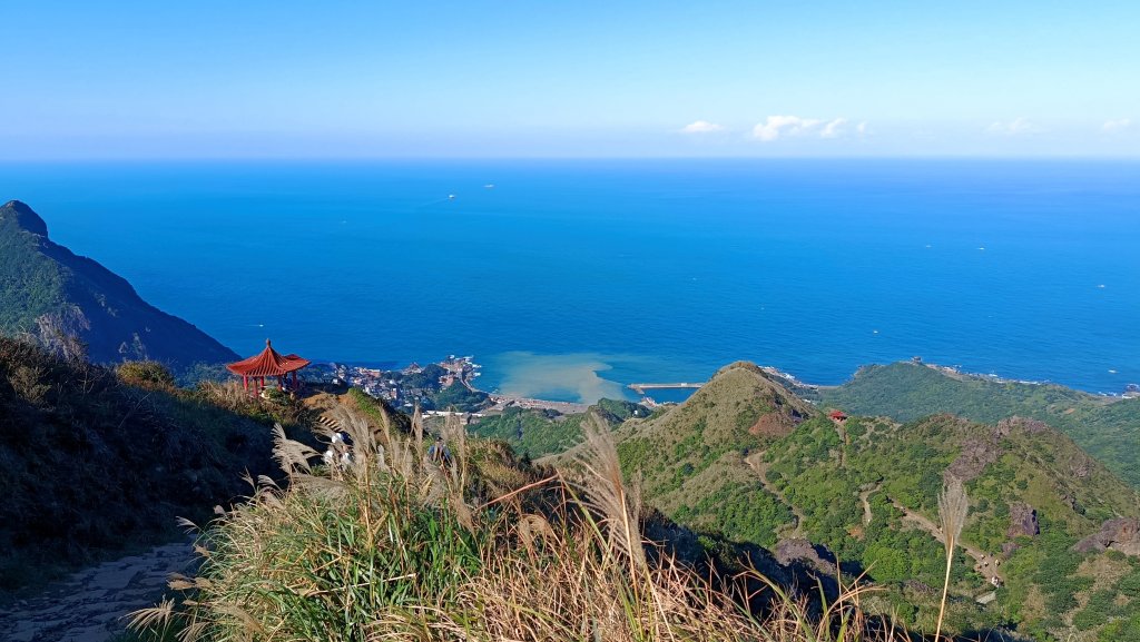 找一個晴天去爬山~金瓜石芒花之旅_2962456