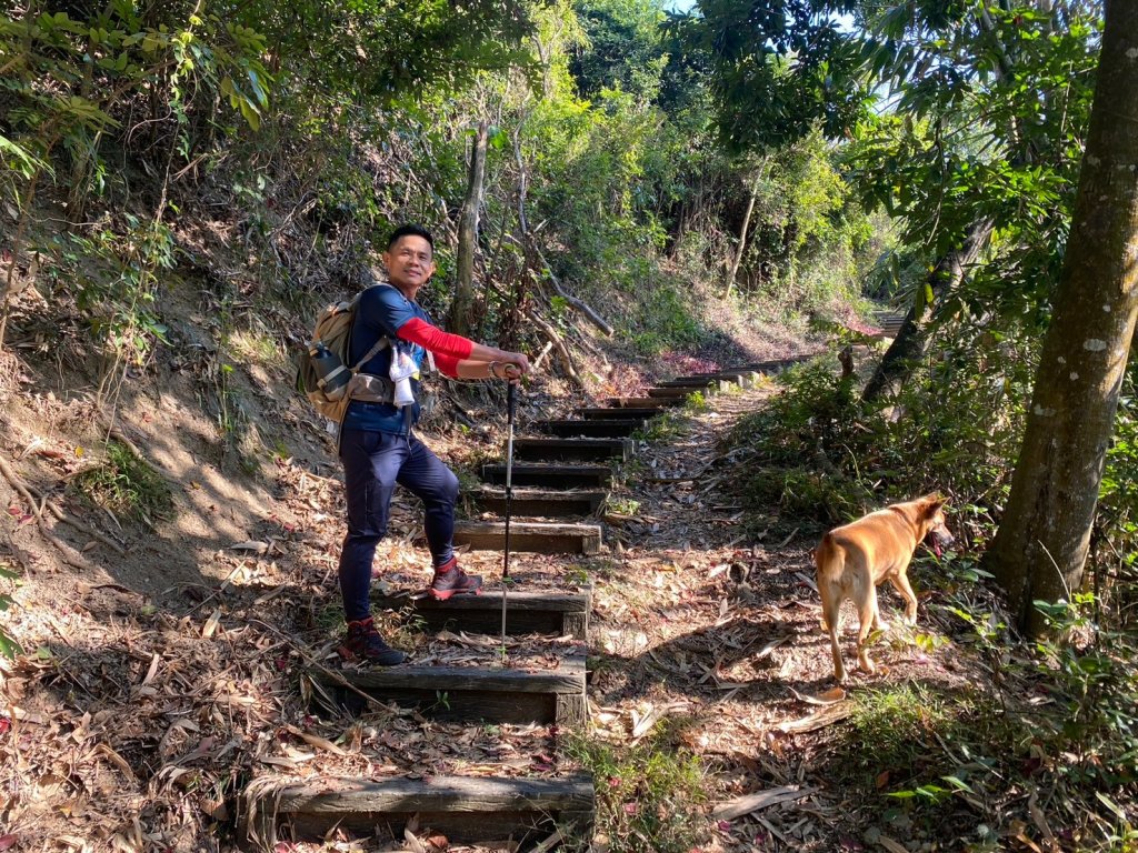 風櫃斗.牛稠坑.二坪山古道【遙知不是雪，為有暗香來】_2703867