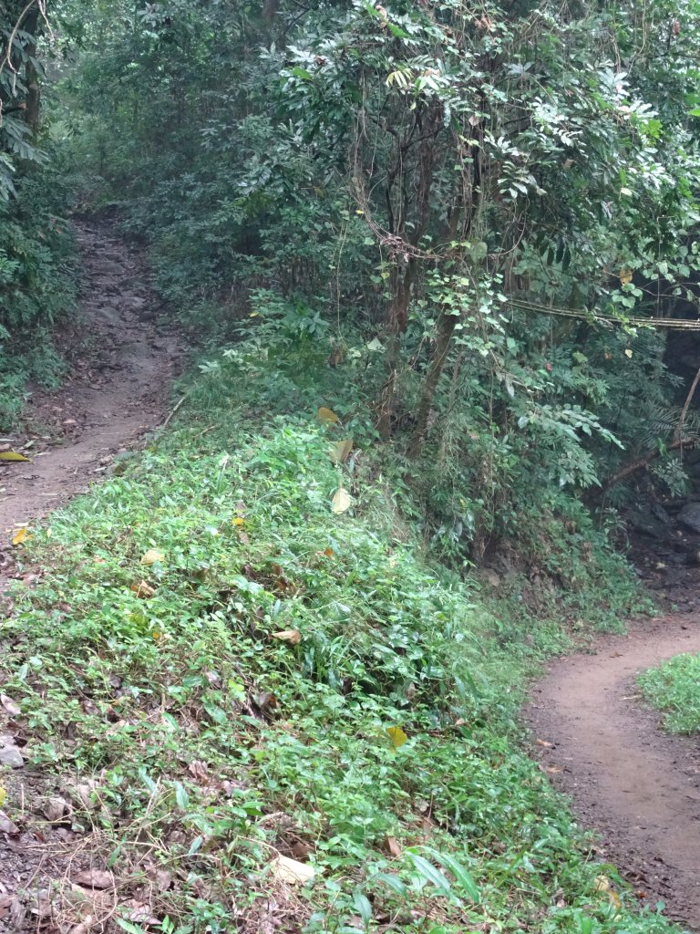 台灣小百岳-屏東笠頂山、棚集山和高雄之旅_1169862