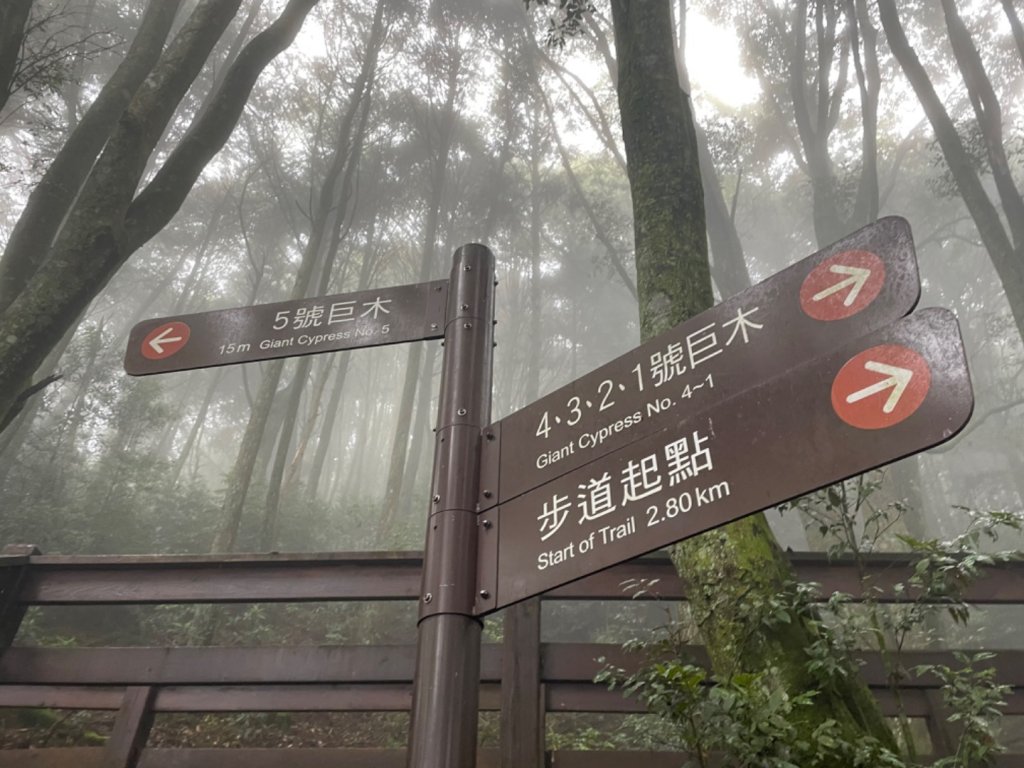 檜山巨木森林步道封面圖