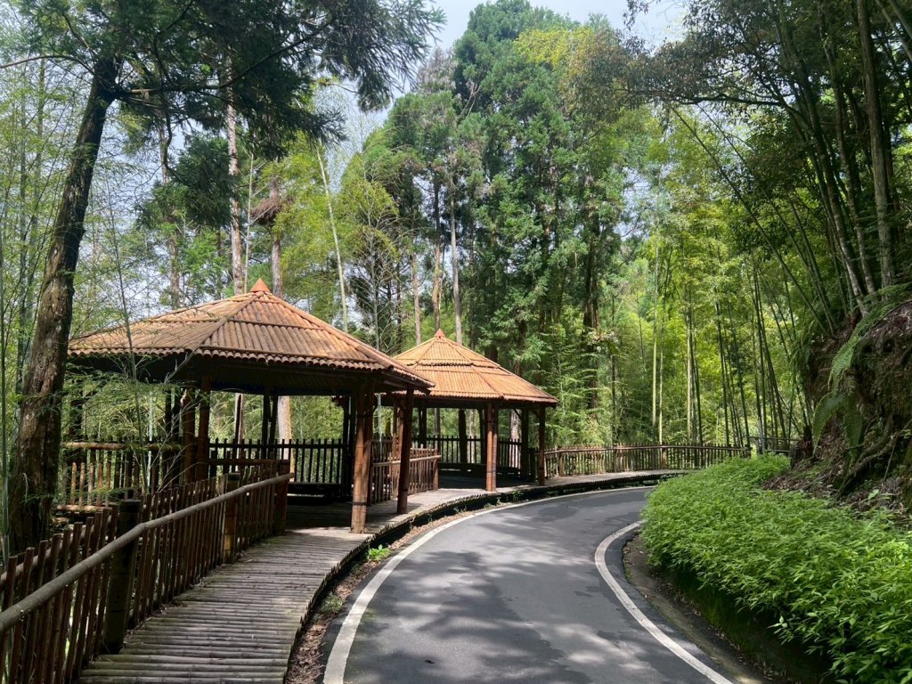 嵐山再古坑。五元兩角 木馬古道_2806128