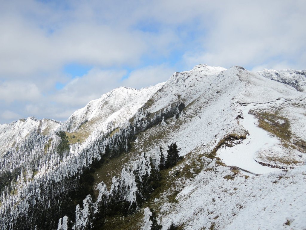 合歡山也有藏王樹冰的雪景_510340