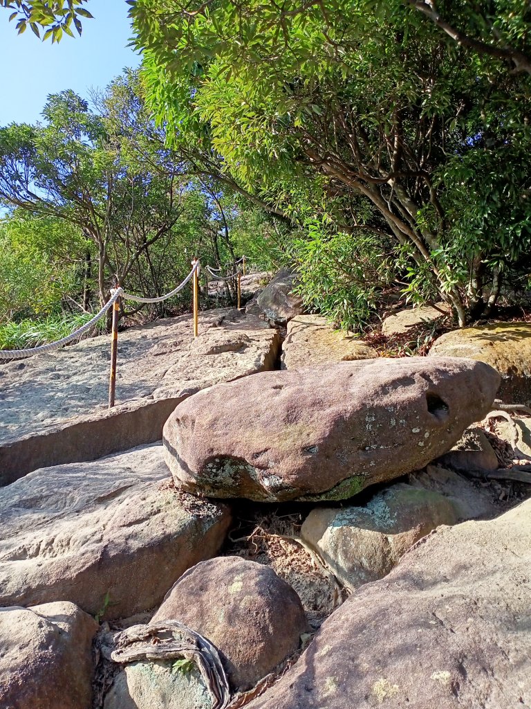 巨石嶙峋的金面山親山步道【南山神壽任務】_1959595