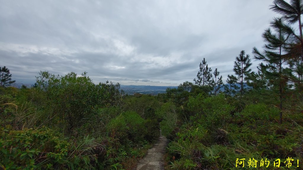 丹鳳山、軍艦岩、唭哩岸連峰 縱走_2687741