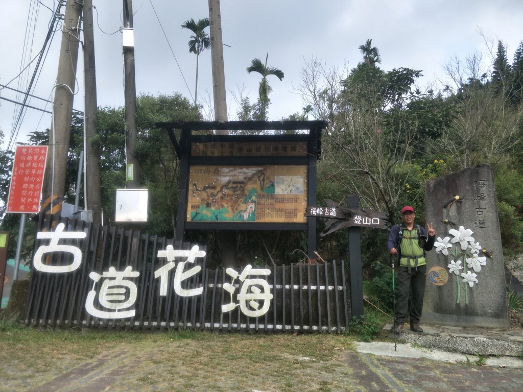 2019 11 14 竹子尖山步道_735258